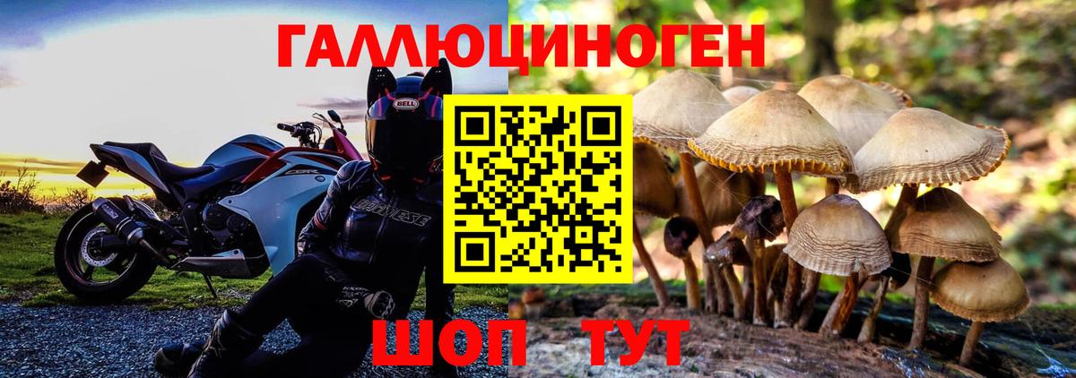 Кировск  Галлюциногенные грибы Psilocybe  Псилоцибиновые грибы мухоморы  Вход с VPN 